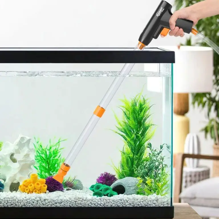 aquarium maintenance